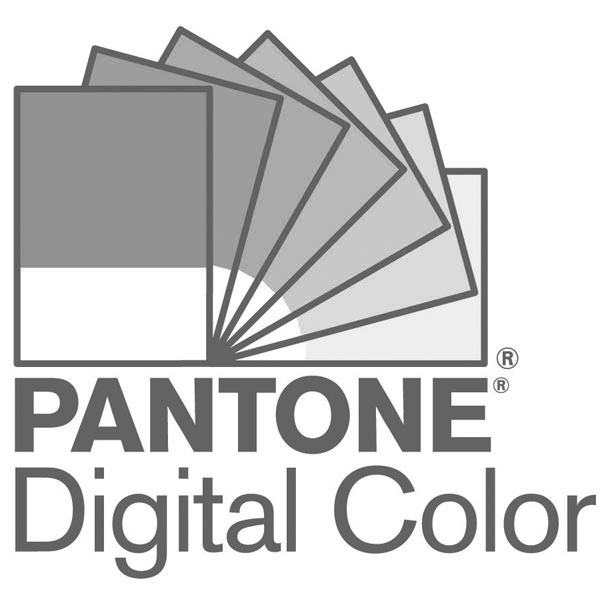 Pantone 100 Postcard