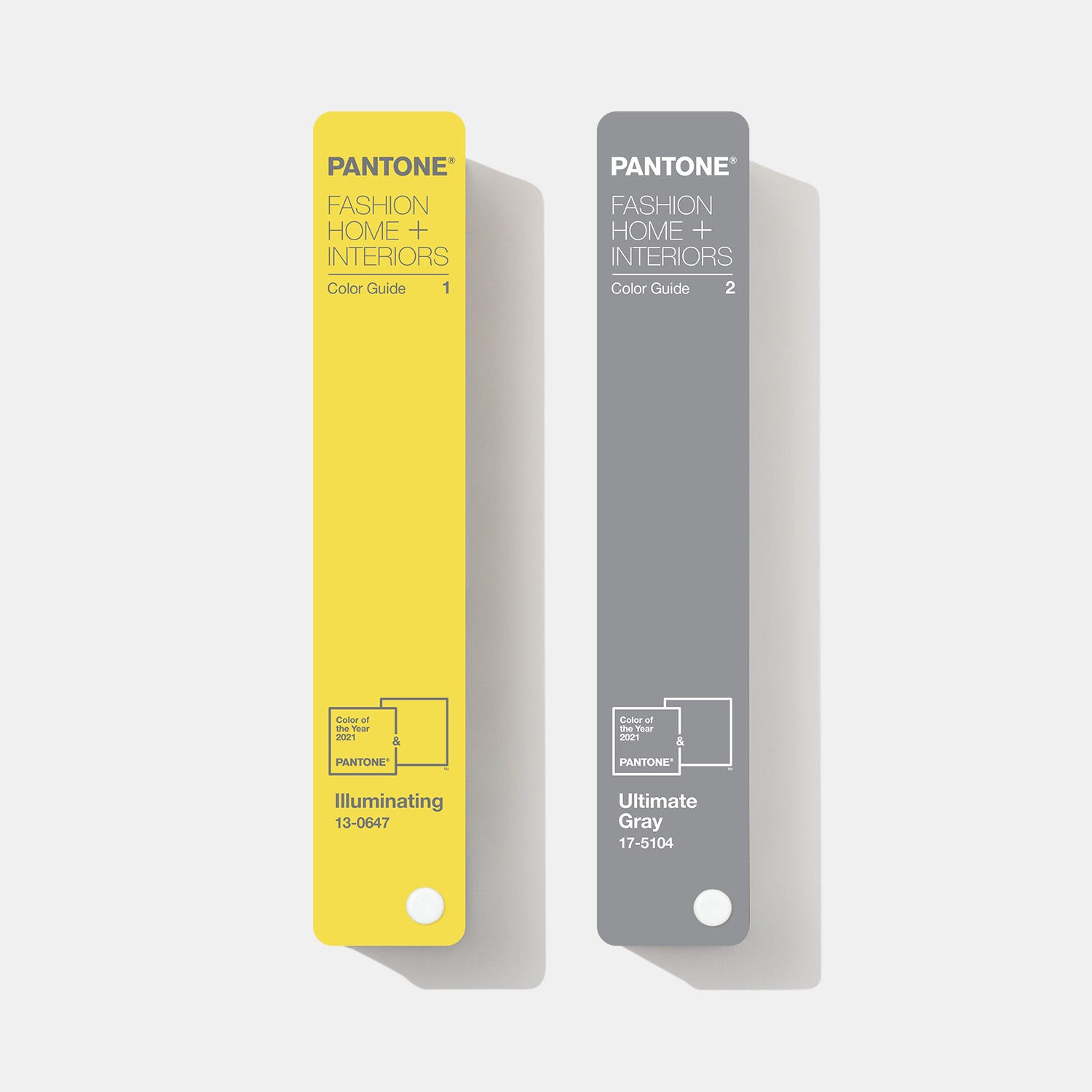 fhi color guide limited edition color of the year 2021