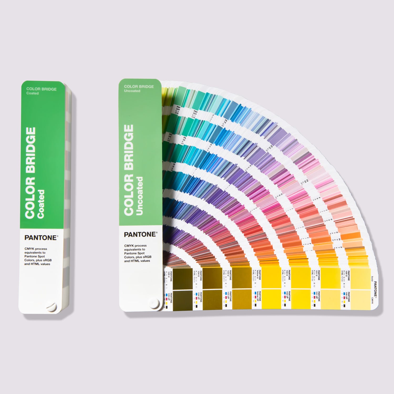 What is the color for the year 2023?