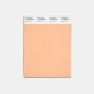 PANTONE UK Cotton Swatch Cards Pantone Color of the Year 2024