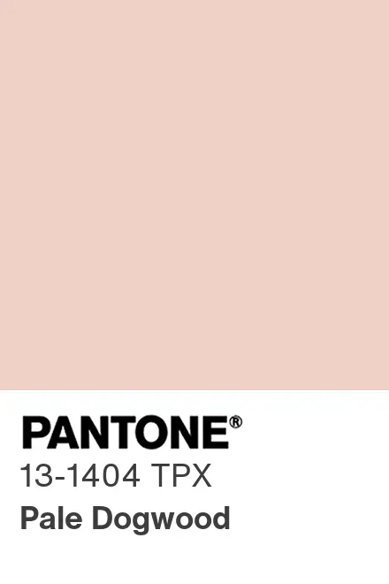 PANTONE® APAC | PANTONE® 13-1404 TPG - Find a Pantone Color