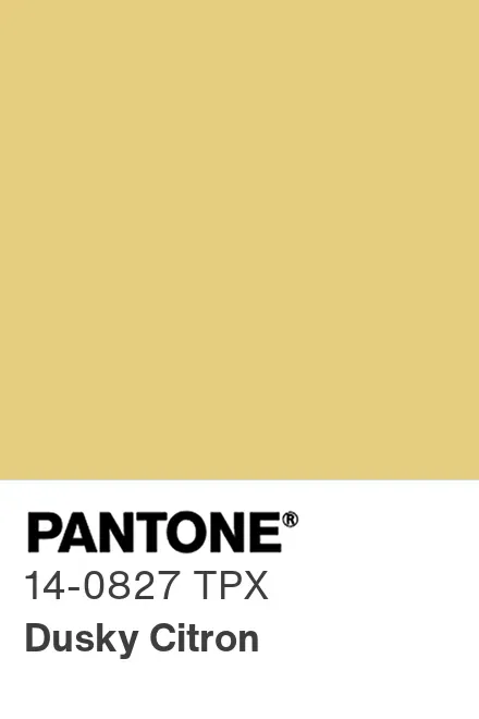 PANTONE® USA | PANTONE® 14-0827 TPG - Find a Pantone Color PANTONE® USA | PANTONE® 14-0827 TPG - Find a Pantone Color