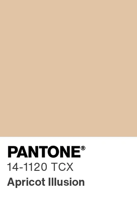 PANTONE® Europe | PANTONE® 14-1120 TCX - Find a Pantone PANTONE® Europe | PANTONE® 14-1120 TCX - Find a Pantone