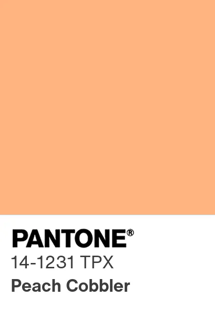 PANTONE® USA | PANTONE® 14-1231 TPG - Find a Pantone Color