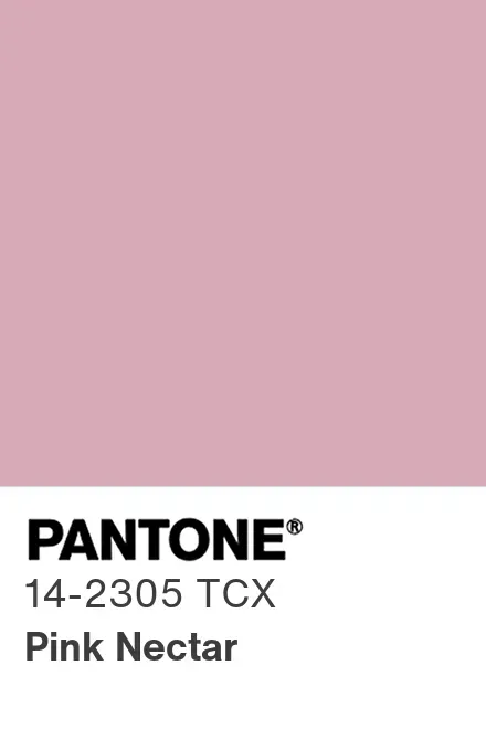 ブランドのギフト PANTONE® USA Color Pantone a Find - TCX 14-2305 PANTONE® | その他