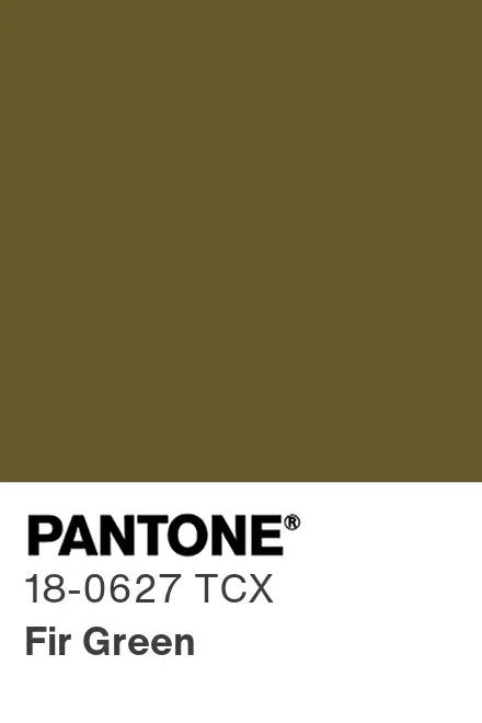 PANTONE® Europe | PANTONE® 18-0627 TCX - Find a Pantone