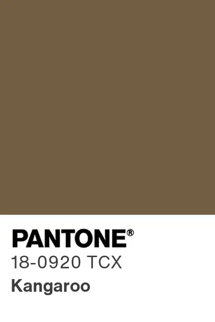 PANTONE® Europe | PANTONE® 18-0920 TCX - Find a Pantone