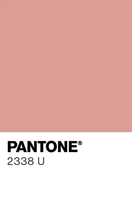 PANTONE® USA | PANTONE® 2338 U - Find a Pantone Color
