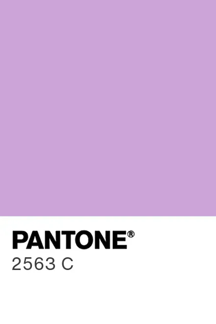 PANTONE® USA | PANTONE® 2563 C - Find a Pantone Color