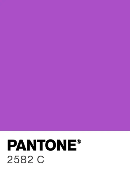 ン 大人気 新品 ノ PANTONE® USA | PANTONE® 2582 C - Find a Pantone Color その他