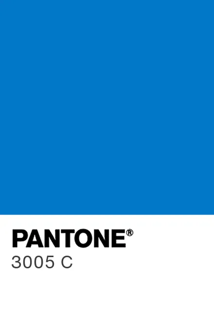 Pantone Color Bridge Set - Coated & Uncoated - Sam Flax Atlanta