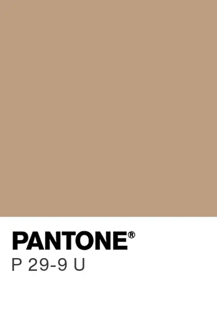 PANTONE® USA | PANTONE® P 29-9 U - Find a Pantone Color | Quick Online  Color Tool