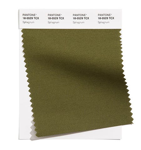 PANTONE 18-0529 Sphagnum