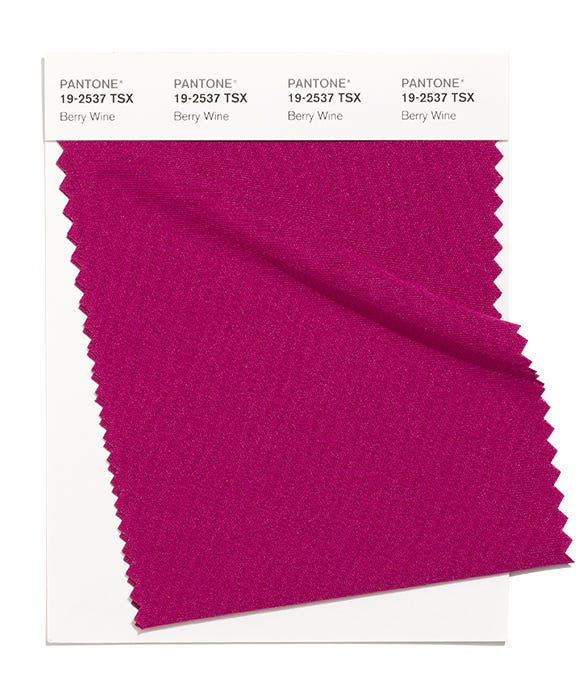 Pantone Swatch 19-2537 TSX