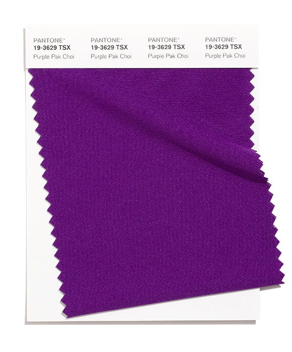 Pantone Swatch 19-3629 TSX