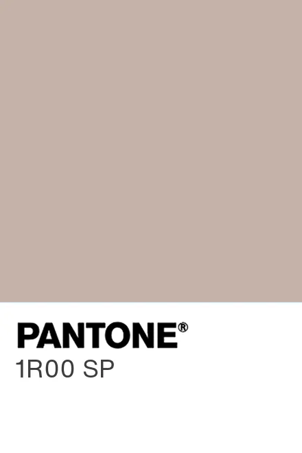 Color Chip of PANTONE 1R00 SP 