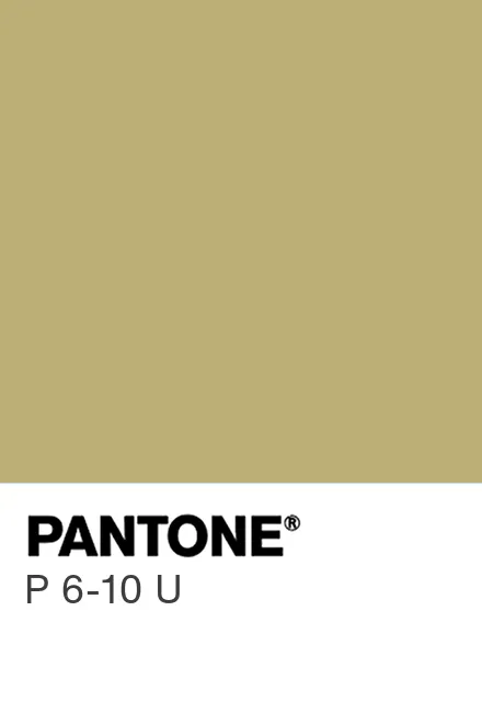 pantone p 10 6 c