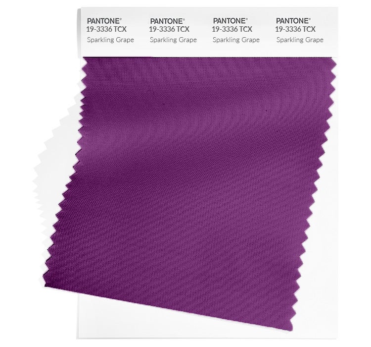 PANTONE™ Color Guide Ropa de Hombre 2024