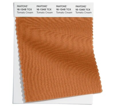 Pantone Color Swatch 16-1348