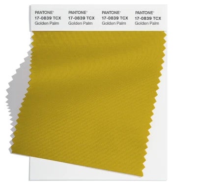 PANTONE France Pantone Fashion Color Trend Report Automne Hiver 2024 2025 pour la New York Fashion Week