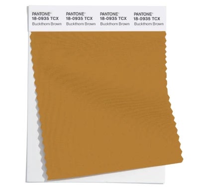 Pantone Color Swatch 18-0935