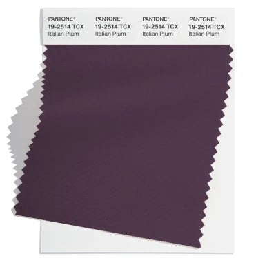 Pantone Color Swatch 19-2514