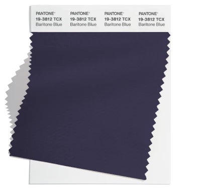 Pantone Color Swatch 19-3812