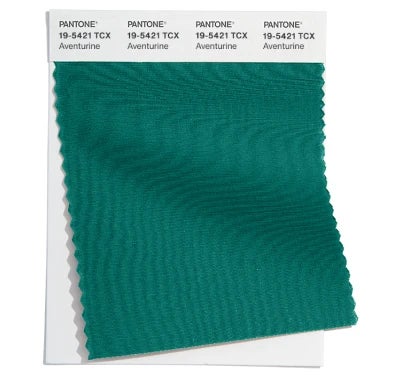 Pantone Color Swatch 19-5421