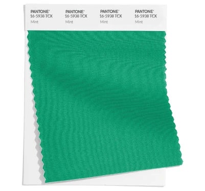 Pantone Color Swatch 16-5938