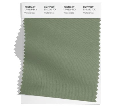 Pantone Color Swatch 17-0220