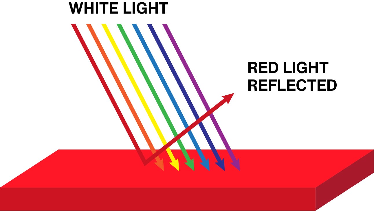 https://www.pantone.com/media/wysiwyg/pantone-color-fundamentals-how-do-we-see-color-diagram.jpg?auto=webp&format=pjpg&quality=85